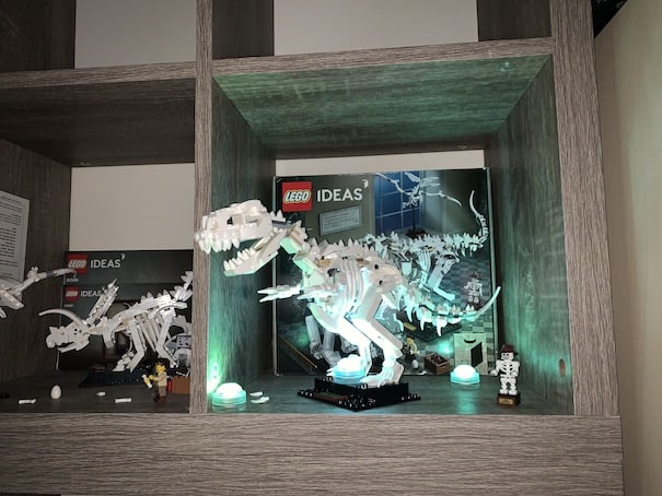 LEGO Ideas 21320 under small lights
