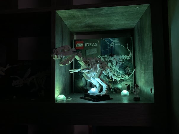 LEGO Ideas 21320 in the dark with small lights