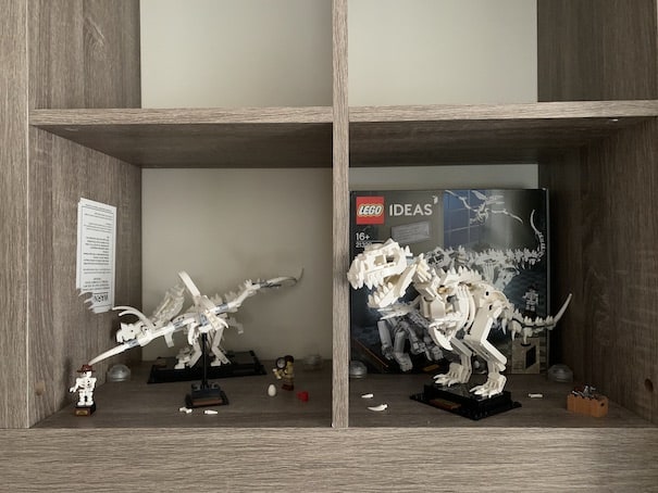 LEGO Ideas 21320 under normal light