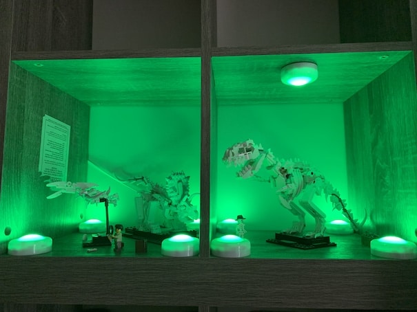 All dinos under green lights