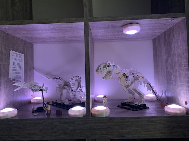 All dinos under white light