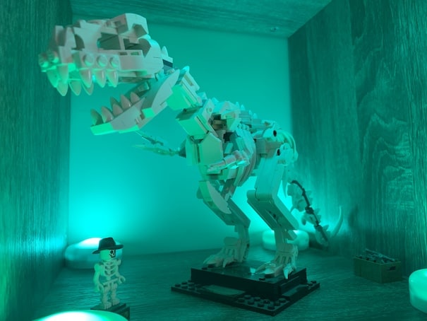 T-Rex under warm white light